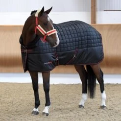 Protechmasta Infrared 200g Medium Weight Stable Rug