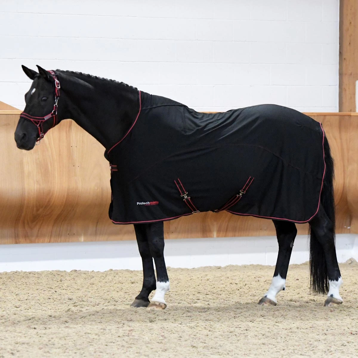 Protechmasta Therapy Cooler Horse Rug Black 2 Protechmasta Therapy Cooler Horse Rug Black - Image 2
