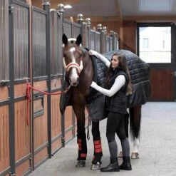 Protechmasta Infrared 200g Medium Weight Stable Rug -Saddle Store 3rd image