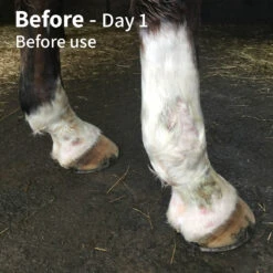 Protechmasta SilverAid Leg Wraps 9 Protechmasta SilverAid Leg Wraps -Saddle Store after