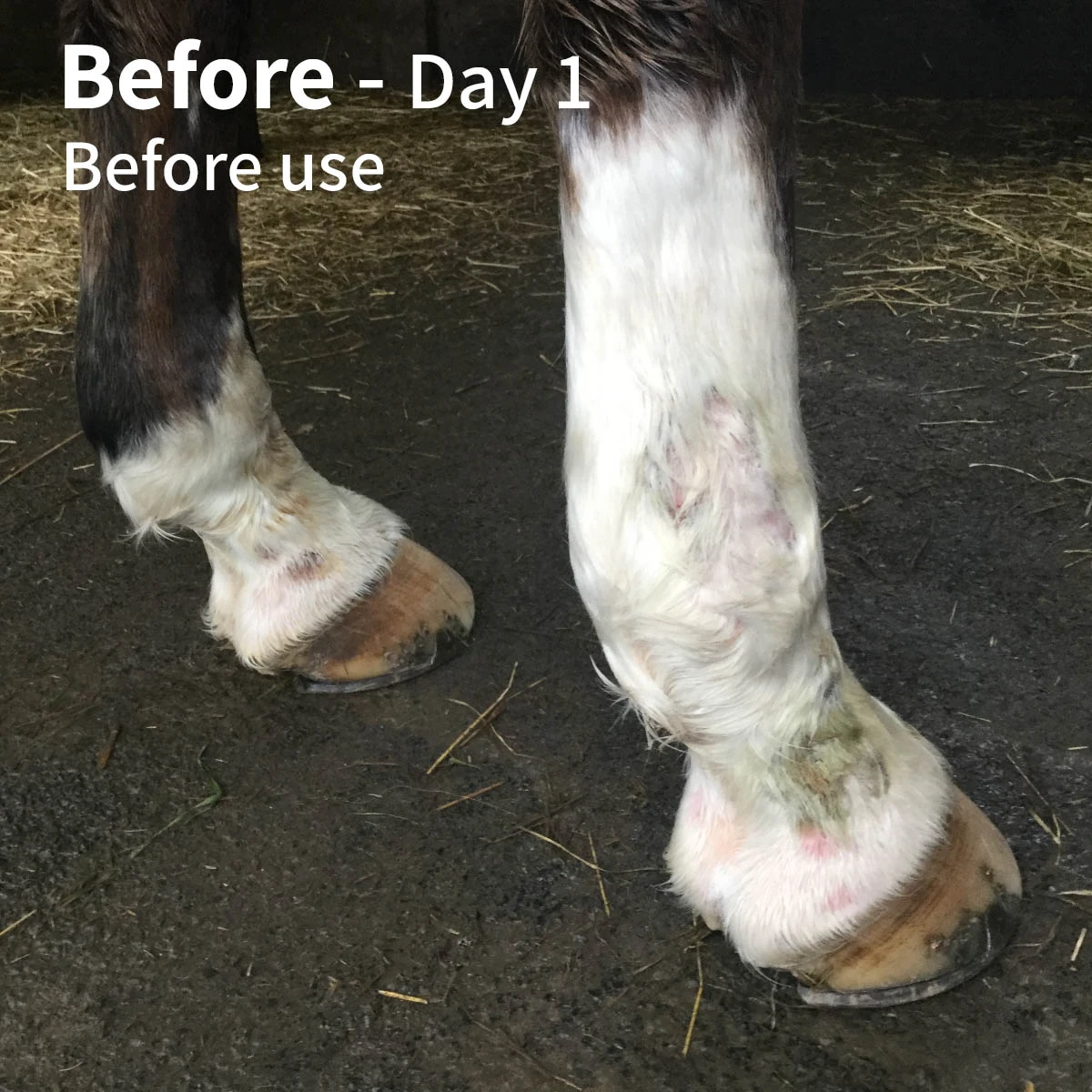 Protechmasta SilverAid Leg Wraps 4 Protechmasta SilverAid Leg Wraps - Image 4