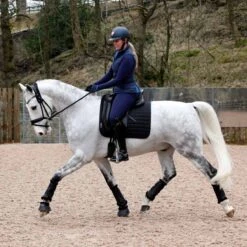 Protechmasta Infrared Airmesh Dressage Saddlecloth Black 13 Protechmasta Infrared Airmesh Dressage Saddlecloth Black -Saddle Store airmesh dressage black 4