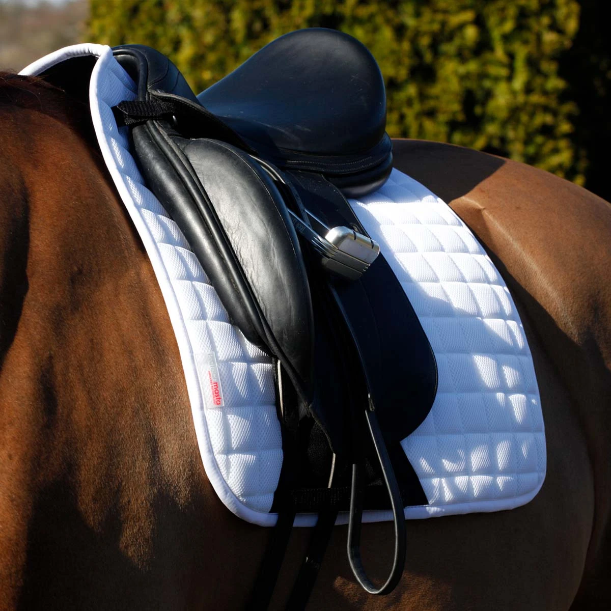 Protechmasta Infrared Airmesh Dressage Saddlecloth White 7 Protechmasta Infrared Airmesh Dressage Saddlecloth White - Image 7