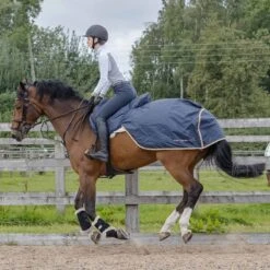 Summer Waterproof Ride On Exercise Sheet Navy Blue Small -Saddle Store arena 3 2