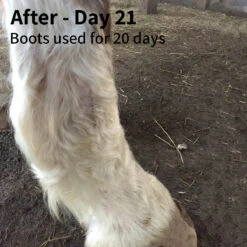 Protechmasta SilverAid Leg Wraps 10 Protechmasta SilverAid Leg Wraps -Saddle Store before