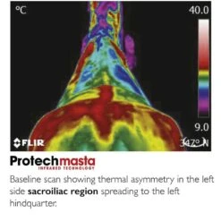 Protechmasta Infrared Combo Rug 9 Protechmasta Infrared Combo Rug -Saddle Store before 2 1