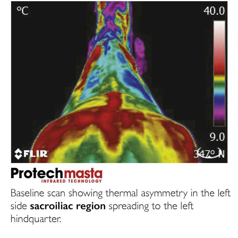 Protechmasta Infrared Combo Rug 4 Protechmasta Infrared Combo Rug - Image 4