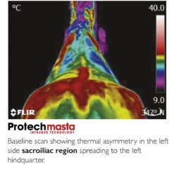 Protechmasta Infrared 200g Medium Weight Stable Rug -Saddle Store before 3