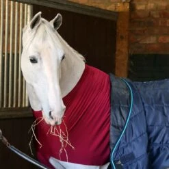 Masta Stretch Shoulder Bib Burgundy -Saddle Store bib lifestyle 2