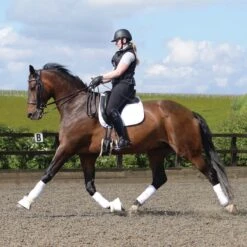 Protechmasta Infrared Poll Guard 9 Protechmasta Infrared Poll Guard -Saddle Store black poll guard lifestyle 2