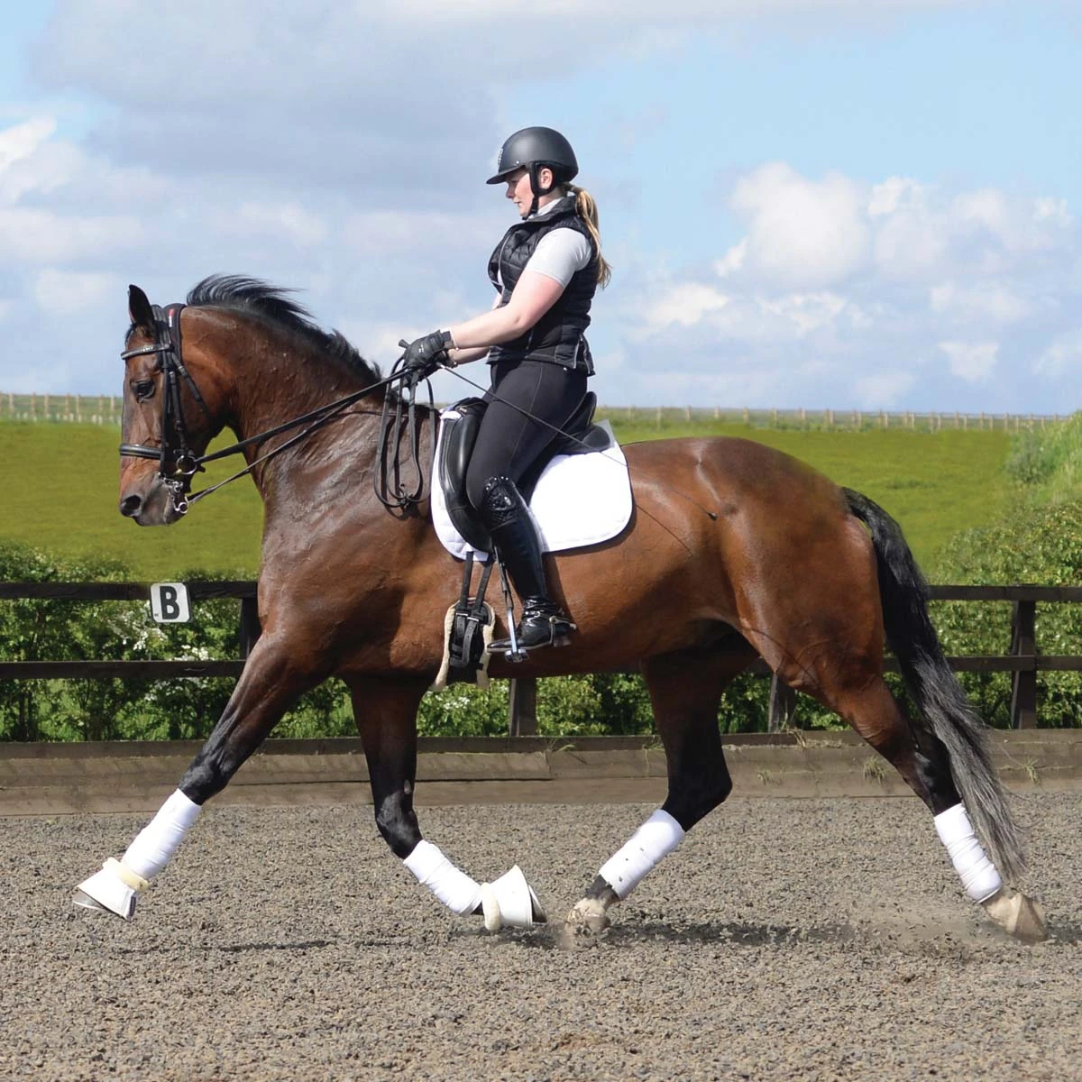 Protechmasta Infrared Poll Guard 5 Protechmasta Infrared Poll Guard - Image 5