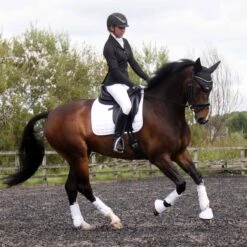 Harry Hall Show Jacket Ladies Black -Saddle Store black show jacket ridden lifestyle 2