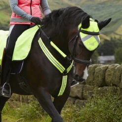 Masta Hi Viz Breast Plate Yellow -Saddle Store breastplate yellow.3