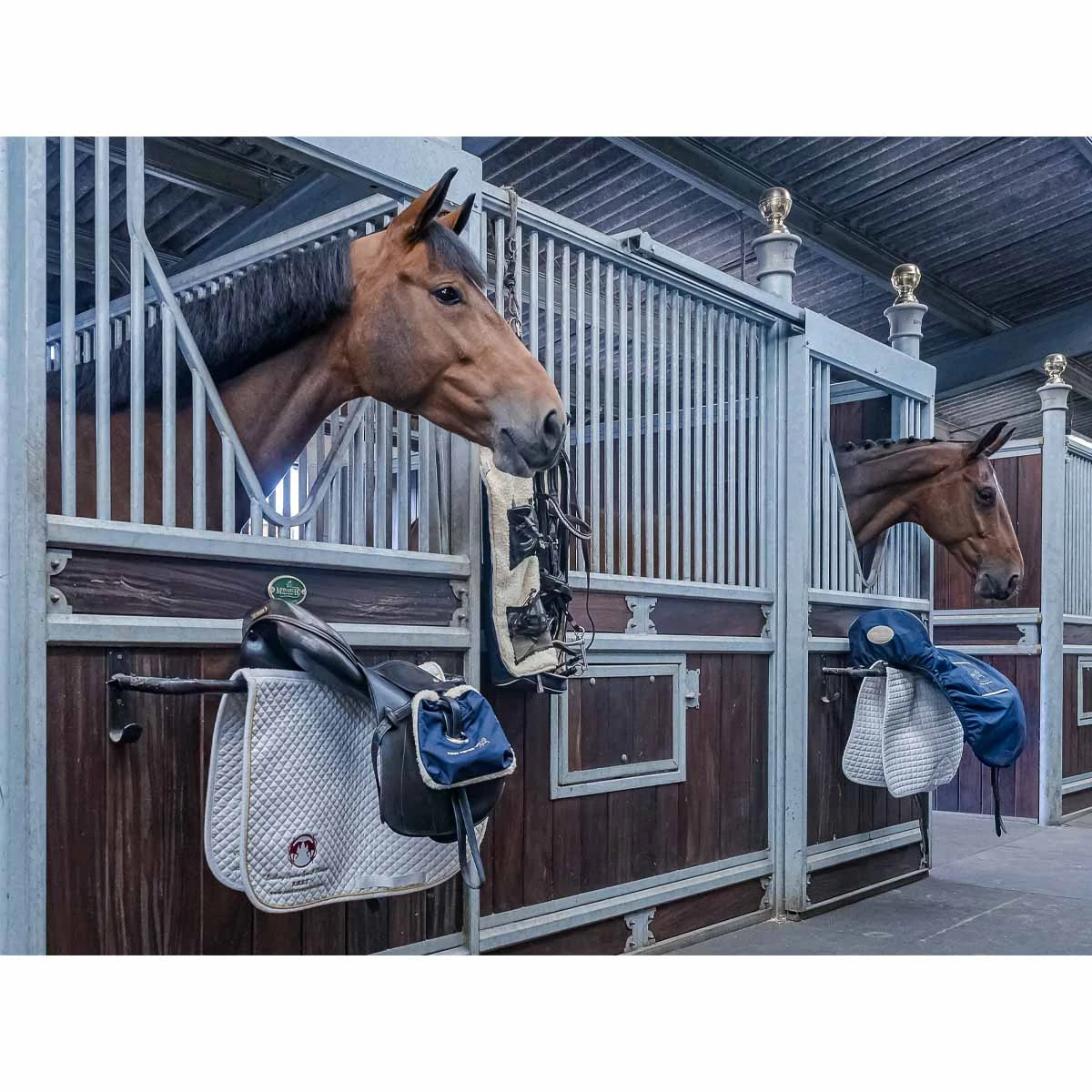 Finer Equine Dressage Saddle Cover Navy Blue 10 Finer Equine Dressage Saddle Cover Navy Blue - Image 10