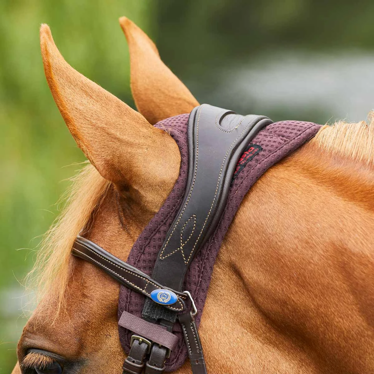 Protechmasta Infrared Poll Guard Brown 1 Protechmasta Infrared Poll Guard Brown