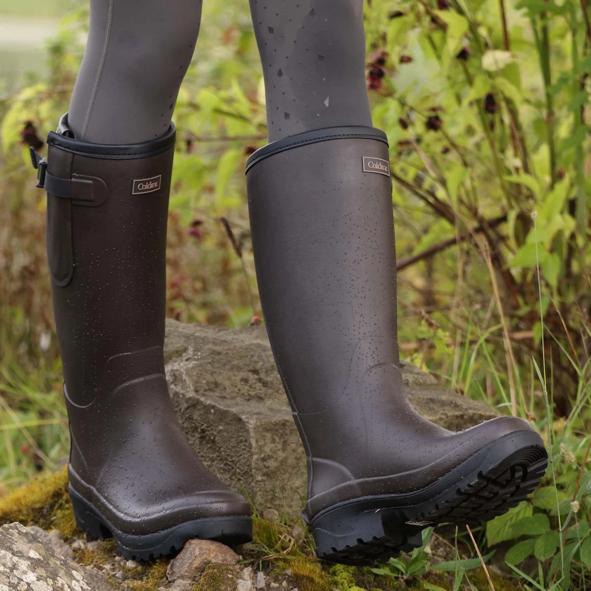 Caldene Westfield II Wellington Brown 7 Caldene Westfield II Wellington Brown - Image 7