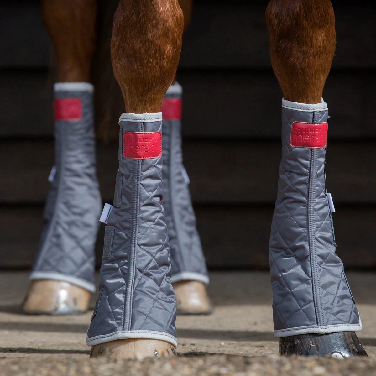 Equilibrium Therapy Magnetic Chaps Grey 2 Equilibrium Therapy Magnetic Chaps Grey - Image 2