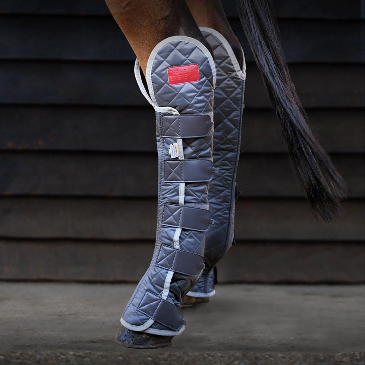 Equilibrium Therapy Hind & Hock Magnetic Chaps Grey 3 Equilibrium Therapy Hind & Hock Magnetic Chaps Grey - Image 3