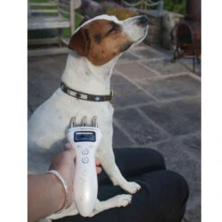 Epiony Thermal Package Black 11 Epiony Thermal Package Black -Saddle Store canine 1 ep0003 ep0004