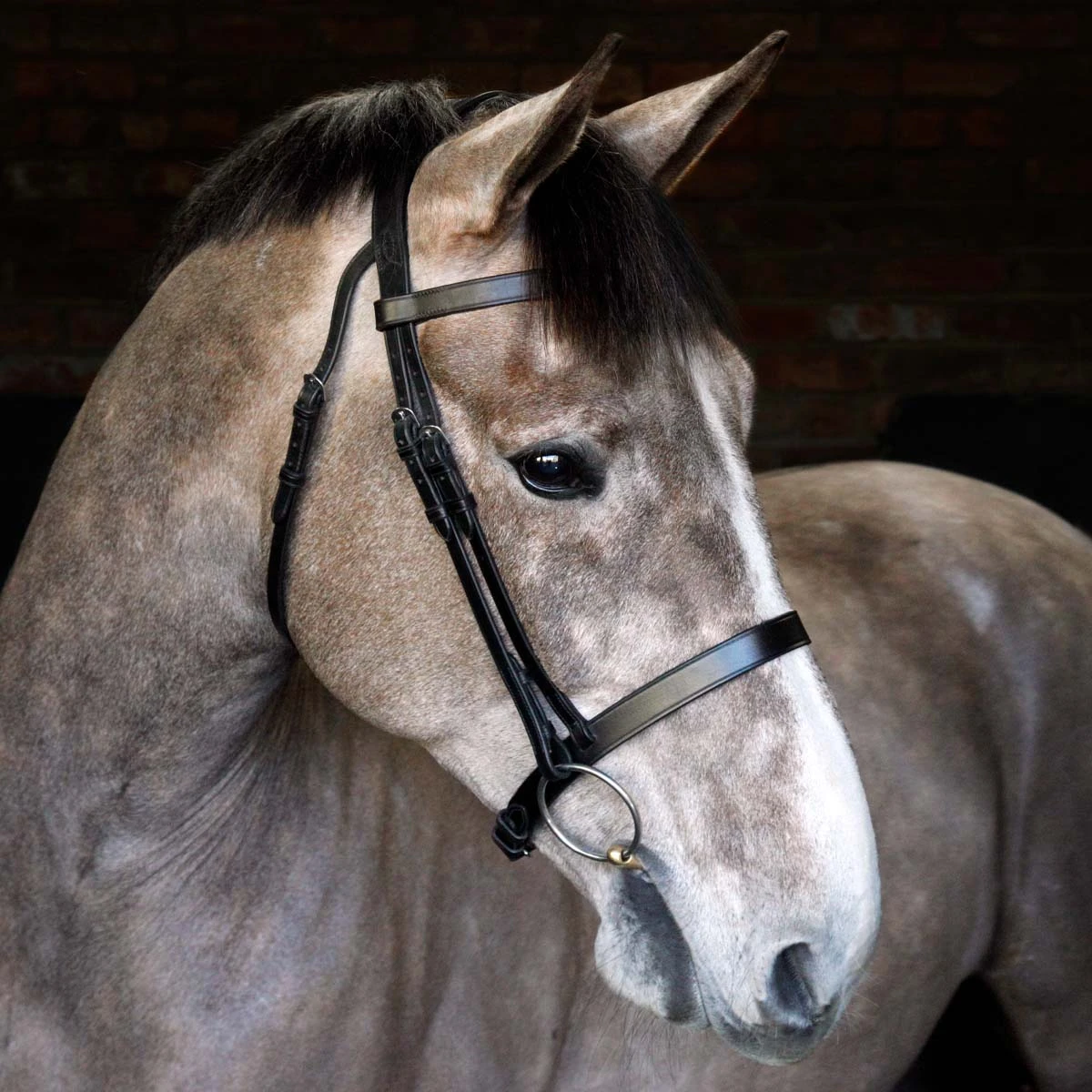 Cottage Craft Cavesson Bridle Black 1 Cottage Craft Cavesson Bridle Black