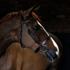 Cottage Craft Cavesson Bridle Brown