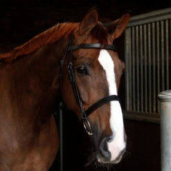 Cottage Craft Cavesson Bridle Brown -Saddle Store cavesson brown.4