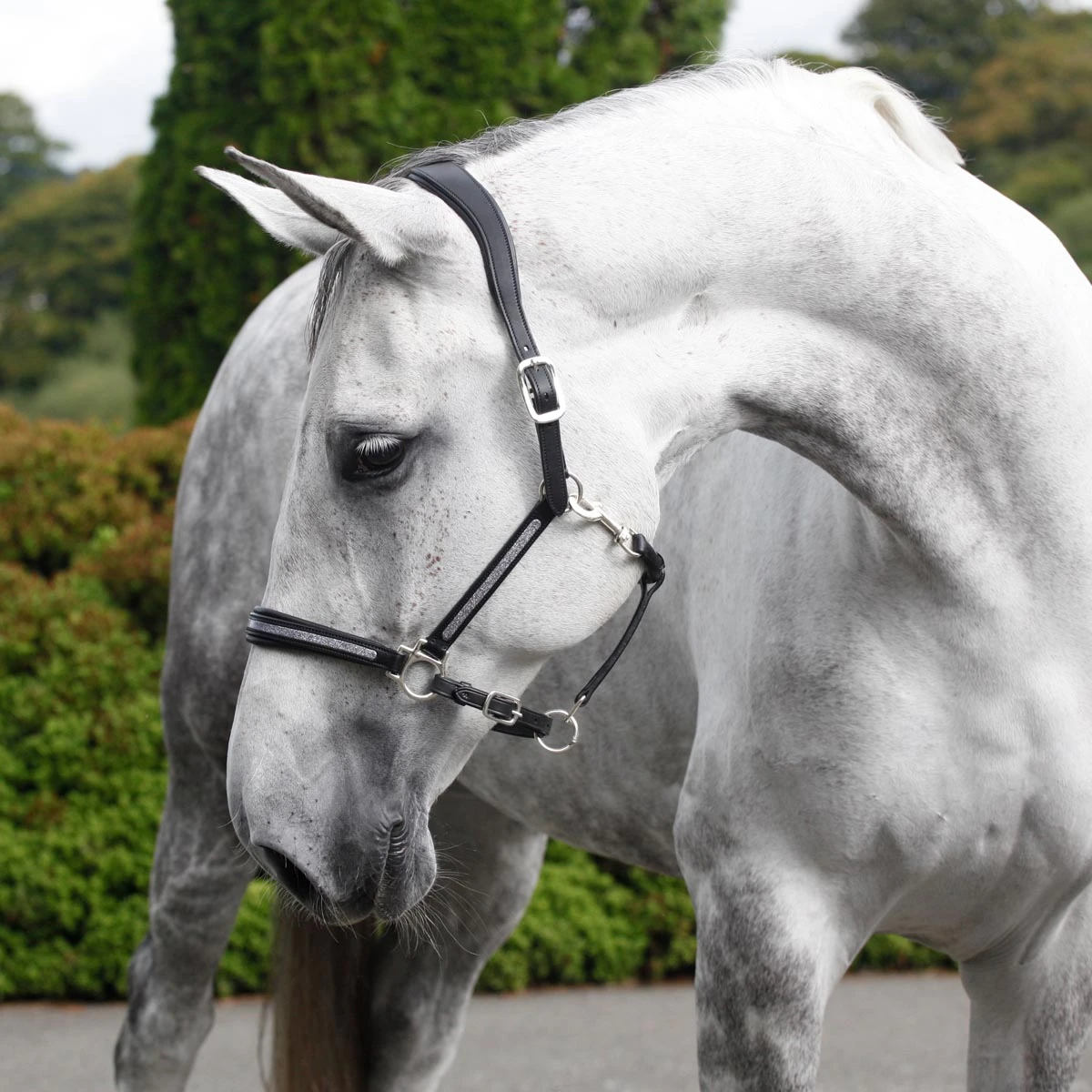 Cottage Craft Ergonomic Leather Headcollar Black 1 Cottage Craft Ergonomic Leather Headcollar Black
