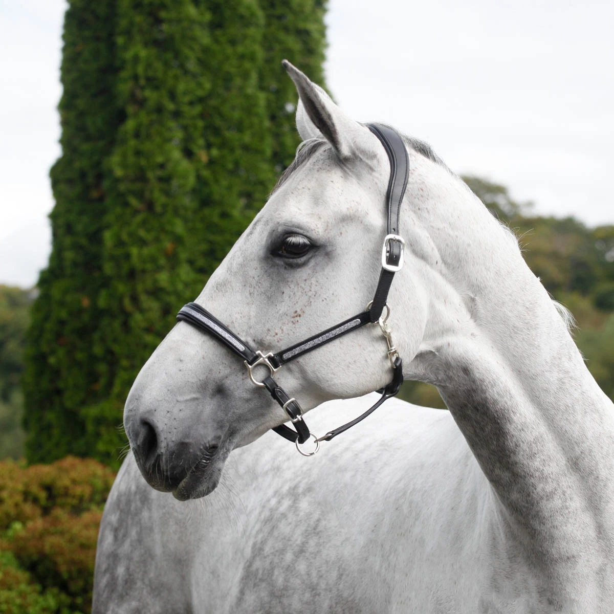 Cottage Craft Ergonomic Leather Headcollar Black 2 Cottage Craft Ergonomic Leather Headcollar Black - Image 2