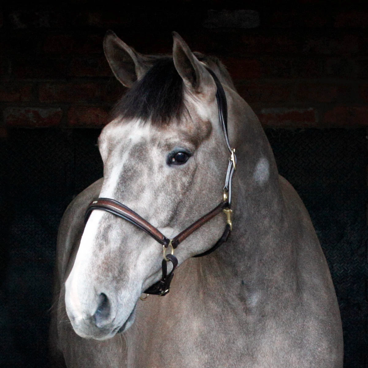 Cottage Craft Ergonomic Leather Headcollar Brown 1 Cottage Craft Ergonomic Leather Headcollar Brown