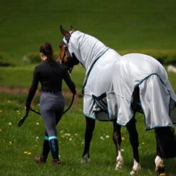 Masta Combo Fly Rug With Belly Wrap Silver -Saddle Store combo lifestyle 1