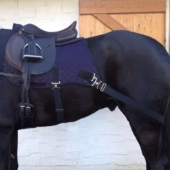 Thermatex Pro-Core Horse Trainer Navy Blue -Saddle Store copy pro core and saddle