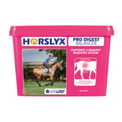 Horslyx Digest Horse Balancer Lick 5kg