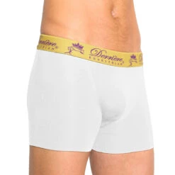 Derriere Equestrian Performance Bonded Padded Shorty Male White
