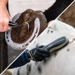 Lister Star Clippers Grooming Bundle -Saddle Store detailed image.jpg 7