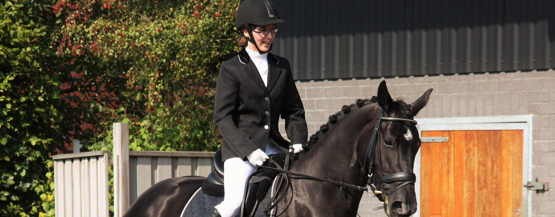 Saddle Store 2 Saddle Store -Saddle Store dressage 1308564 1920