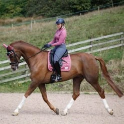 Protechmasta Lux Dressage Saddlecloth Rose -Saddle Store dressage pink