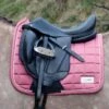 Protechmasta Lux Dressage Saddlecloth Rose