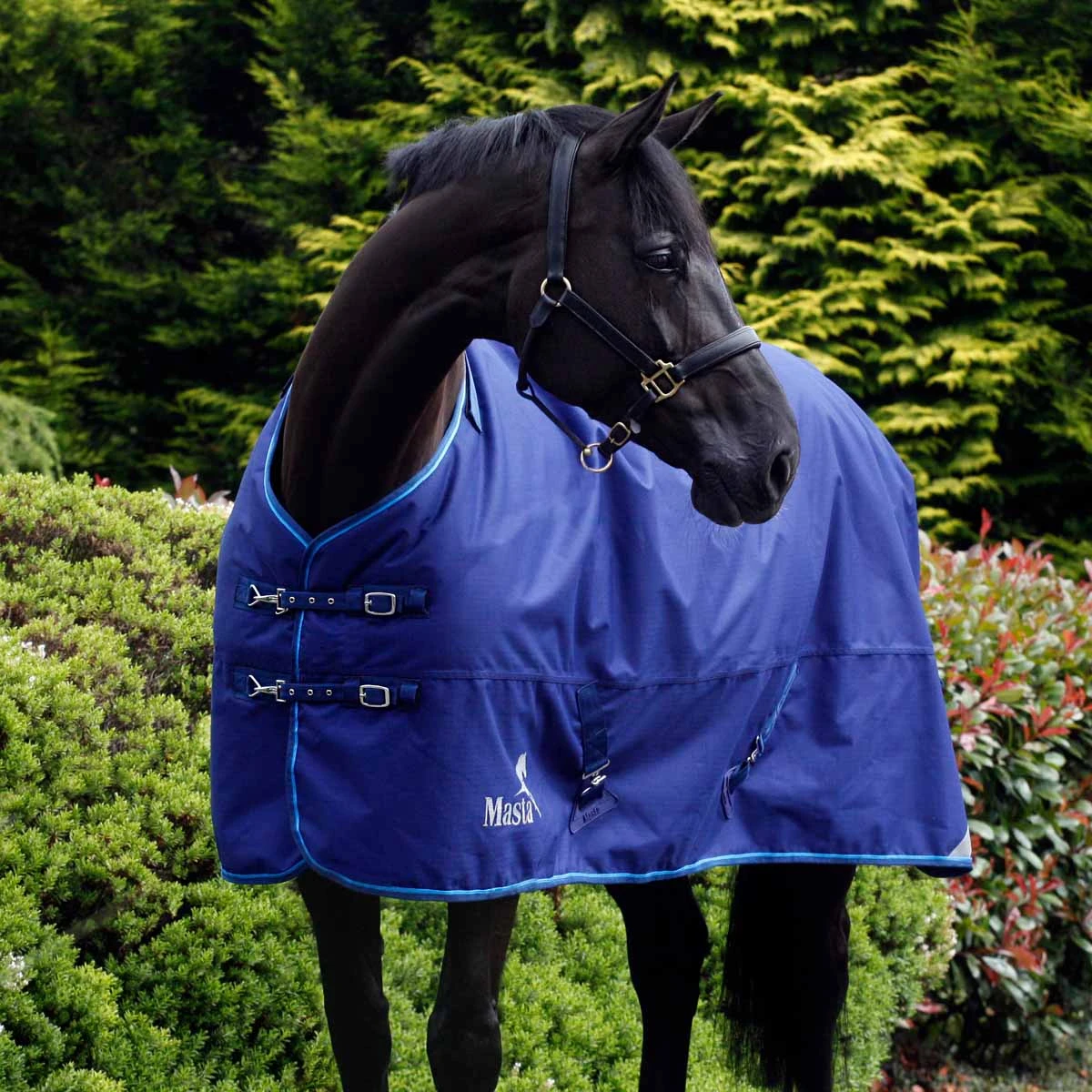 Duomasta 200g Medium Weight Turnout Rug Blue 2 Duomasta 200g Medium Weight Turnout Rug Blue - Image 2