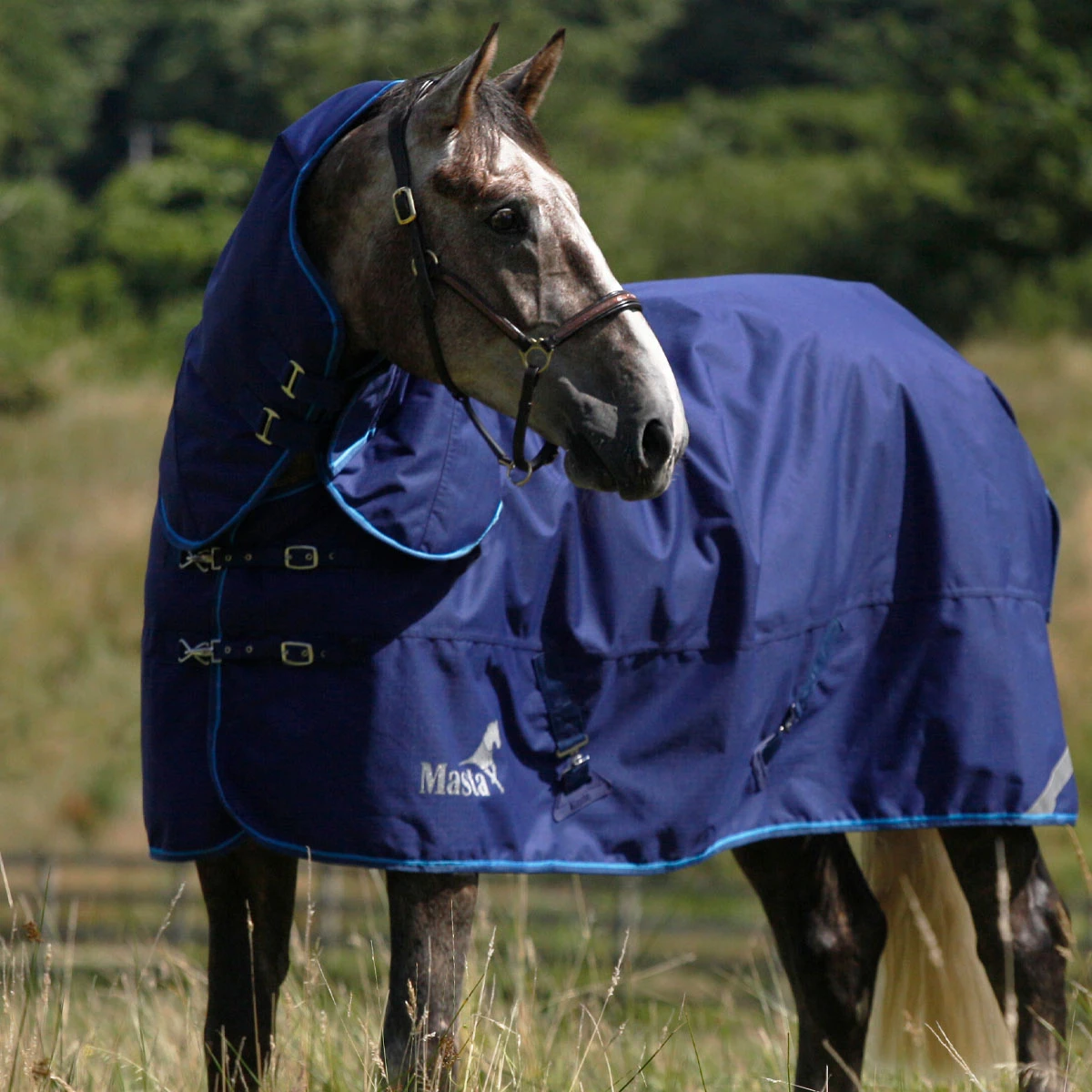 Duomasta 200g Medium Weight Turnout Rug Blue 3 Duomasta 200g Medium Weight Turnout Rug Blue - Image 3
