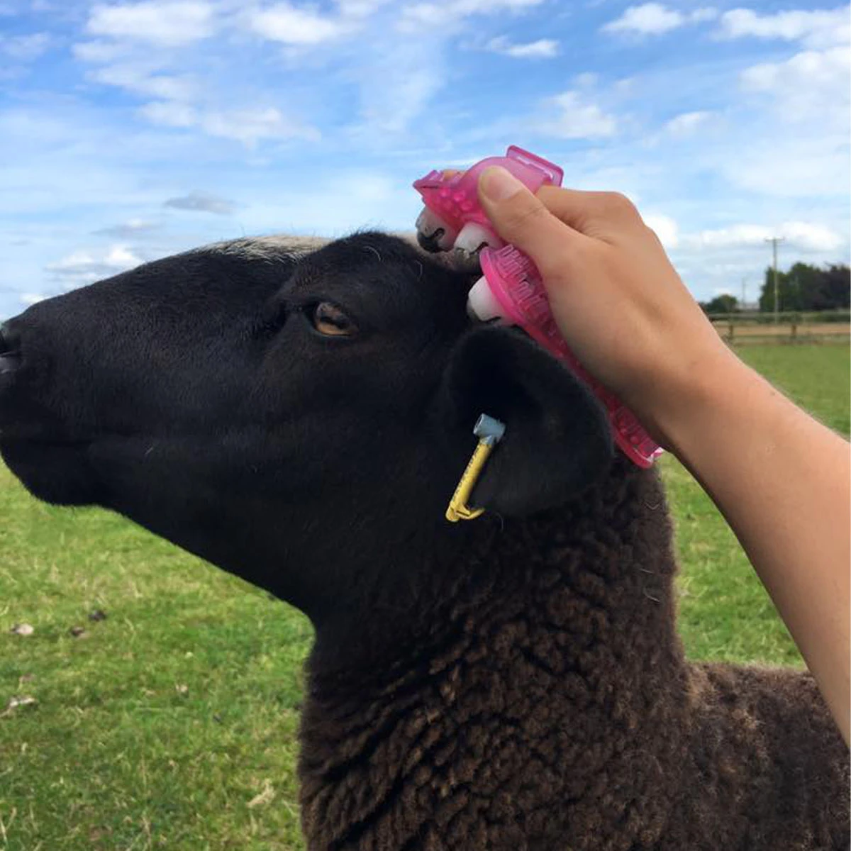 Epiony Massage Package Black 4 Epiony Massage Package Black - Image 4