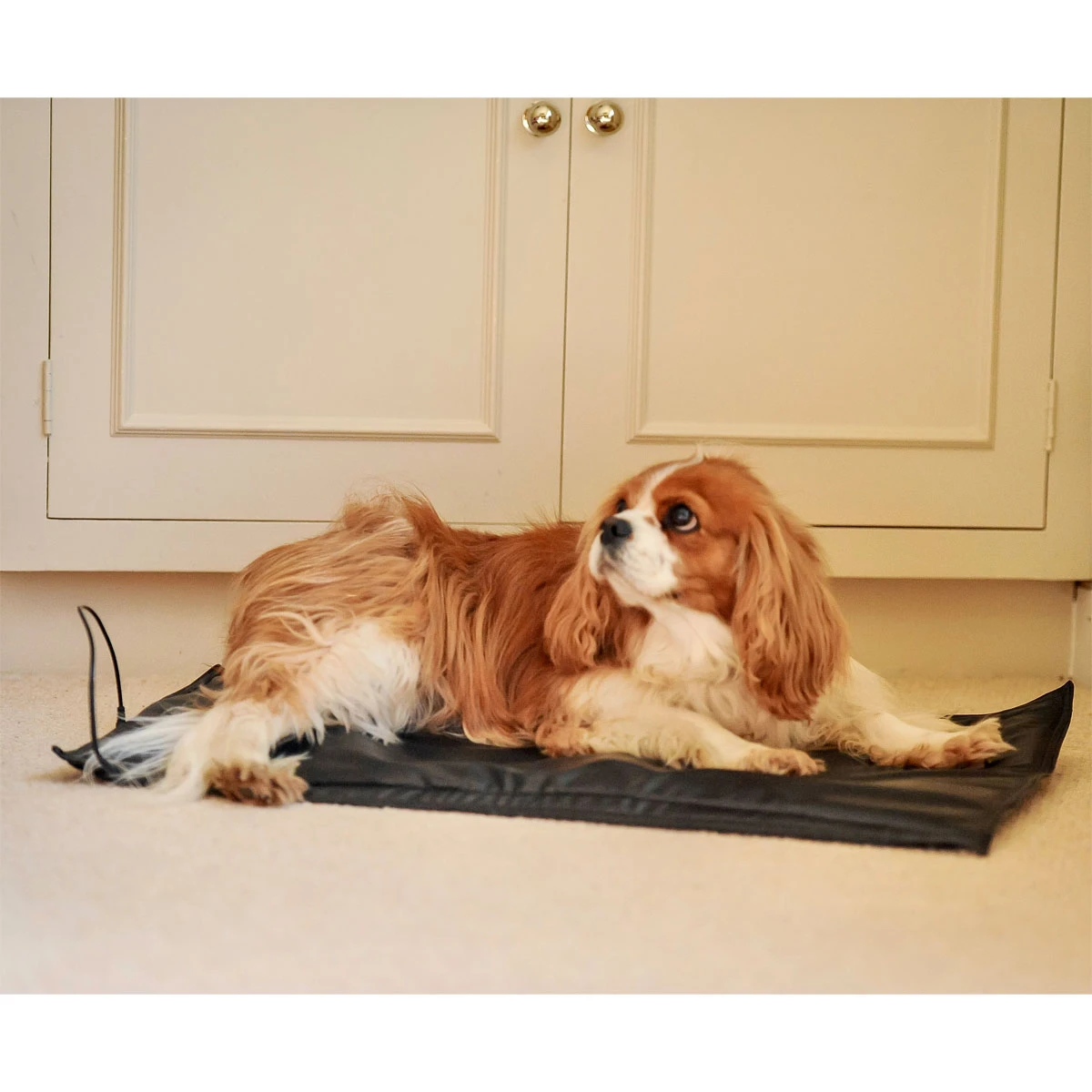 Epiony Heat Pad Plus Black 4 Epiony Heat Pad Plus Black - Image 4