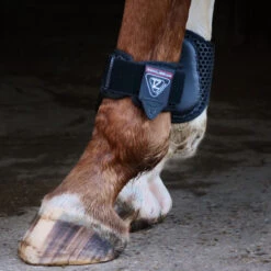 Equilibrium Tri-Zone Fetlock Boots Black