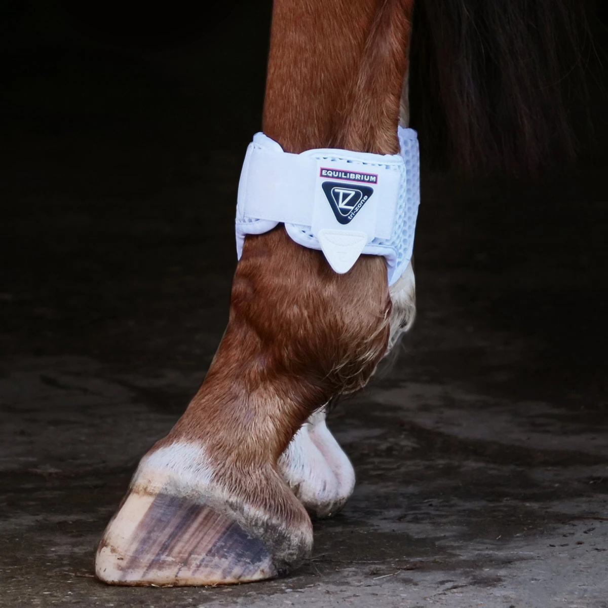 Equilibrium Tri-Zone Fetlock Boots White 1 Equilibrium Tri-Zone Fetlock Boots White