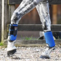 Equilibrium Tri-Zone All Sports Boots Royal Blue