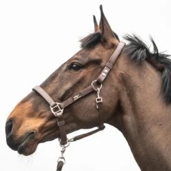 Equilibrium Stellar Safety Headcollar Brown 11 Equilibrium Stellar Safety Headcollar Brown -Saddle Store eqb005 stellar safety headcollar headshot