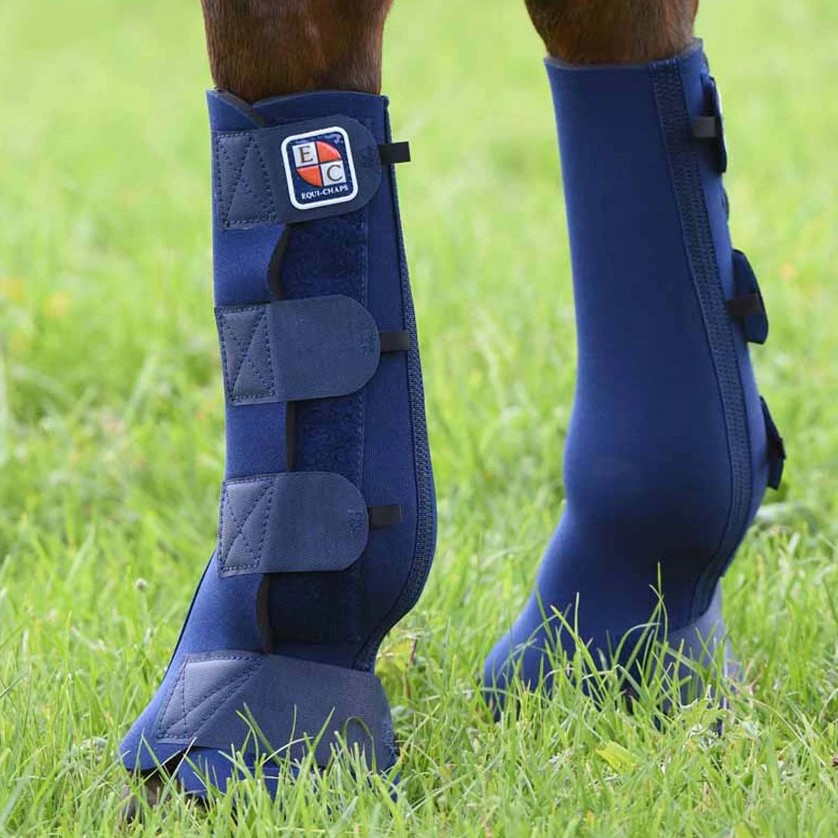 Equilibrium Equi-Chaps Hardy Chaps Blue 1 Equilibrium Equi-Chaps Hardy Chaps Blue