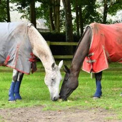 Equilibrium Equi-Chaps Hardy Chaps Blue 7 Equilibrium Equi-Chaps Hardy Chaps Blue -Saddle Store eqb030 lifestyle 3
