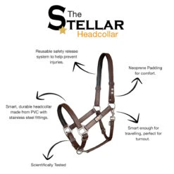 Equilibrium Stellar Safety Headcollar Navy Blue -Saddle Store features 1