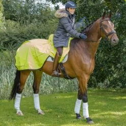 Hi-Vis Winter Waterproof Ride On Exercise Sheet Medium -Saddle Store field 1 1 2