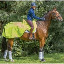 Hi-Vis Summer Waterproof Ride On Exercise Sheet Medium -Saddle Store field 2 1 4